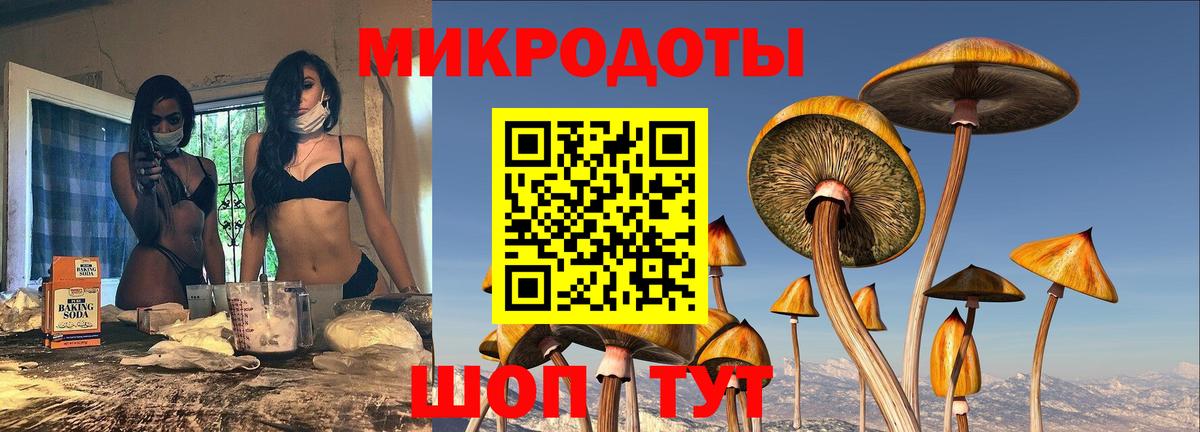 Галлюциногенные грибы Psilocybine cubensis Ревда